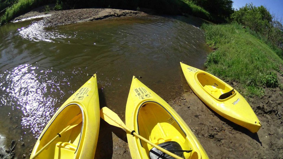 Yellow Kayaks